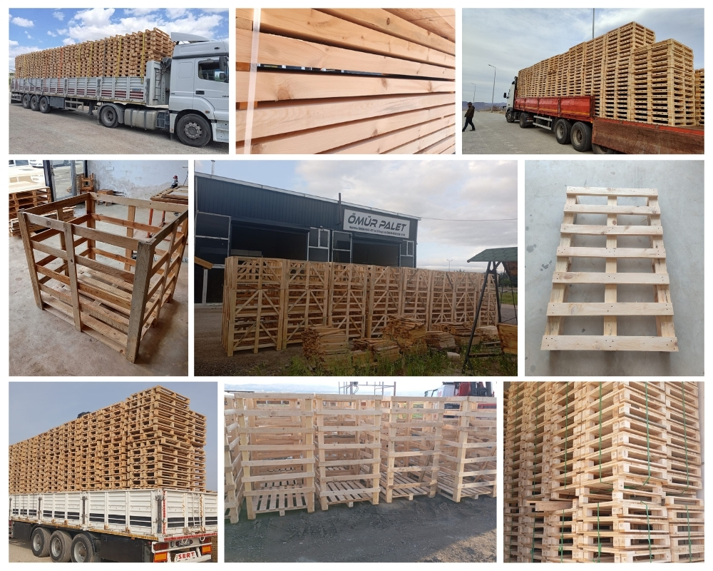 Rotterdam Houten Kisten, Europallets Groothandel Kopen